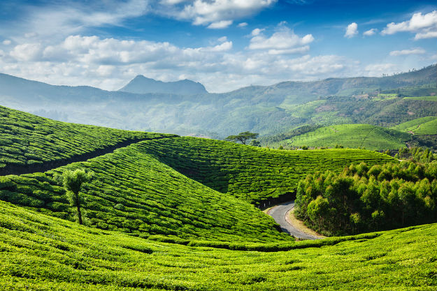 munnar holiday packages